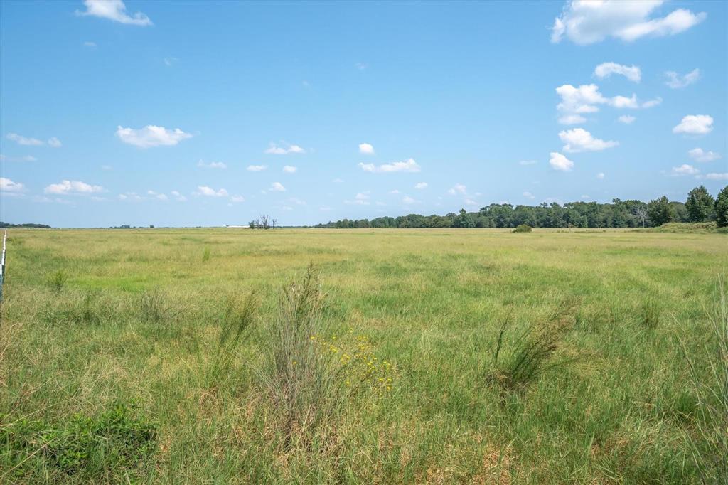 Acres 15.767, ABST: 137, SUR: T CAYCE - Land