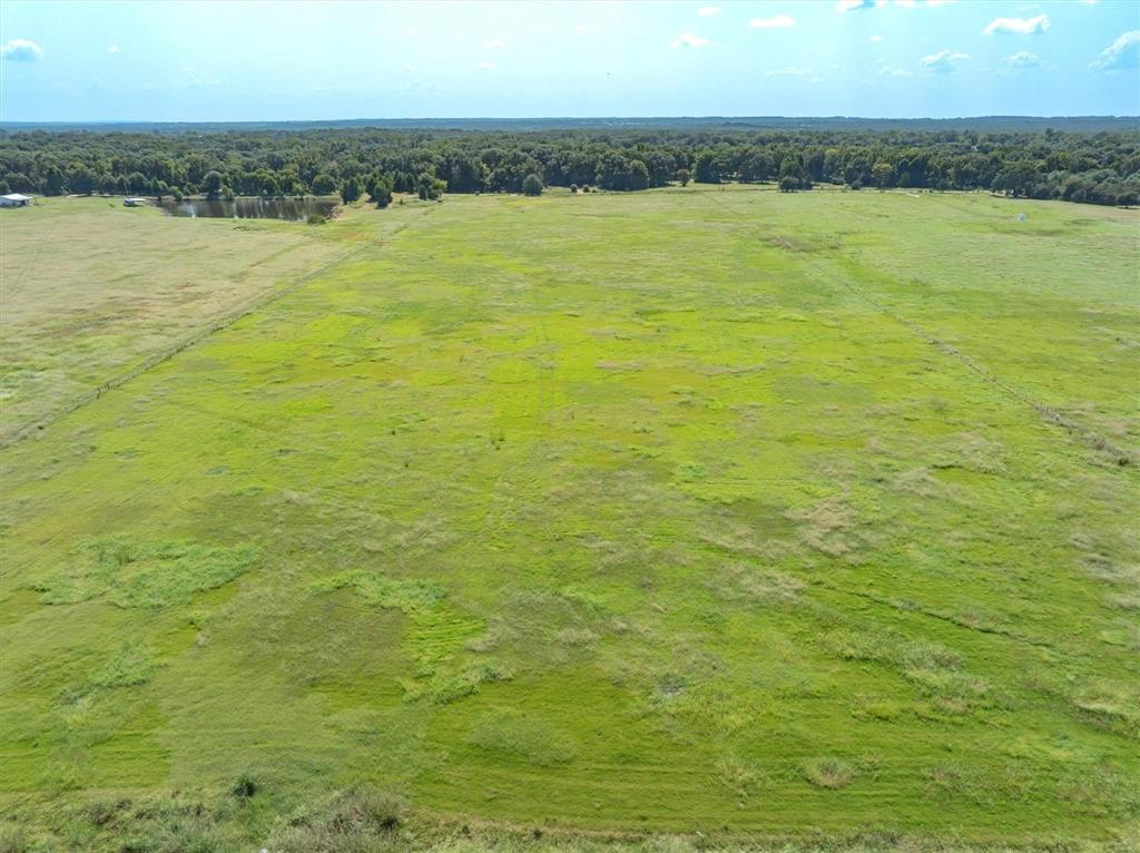 Acres 15.767, ABST: 137, SUR: T CAYCE - Land