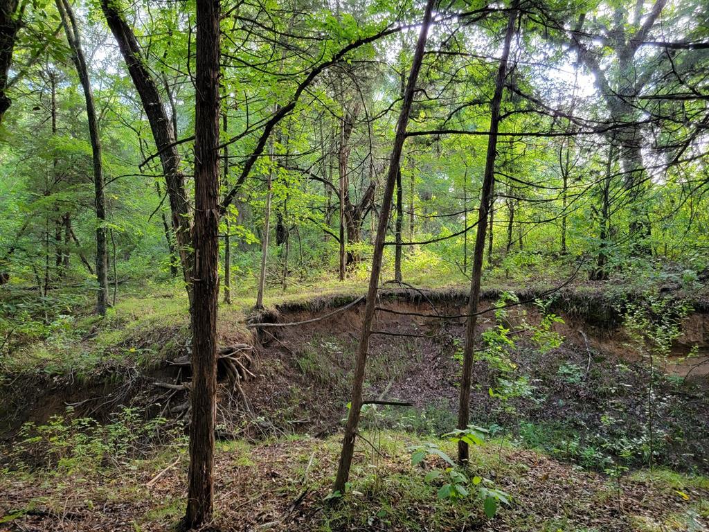 NE1 Subset - Finley R 0389 - Land