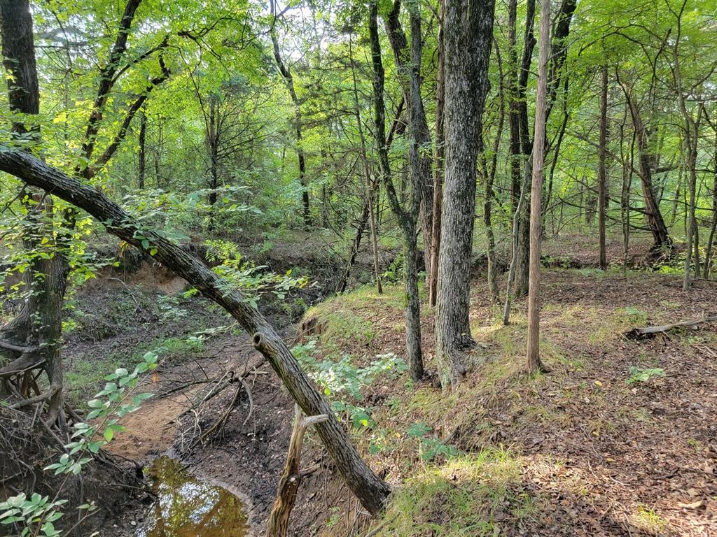 NE1 Subset - Finley R 0389 - Land