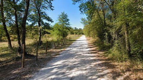 Photo of Lot 7 Dryden Street, Trinity, TX 75862 (MLS # 21275908)