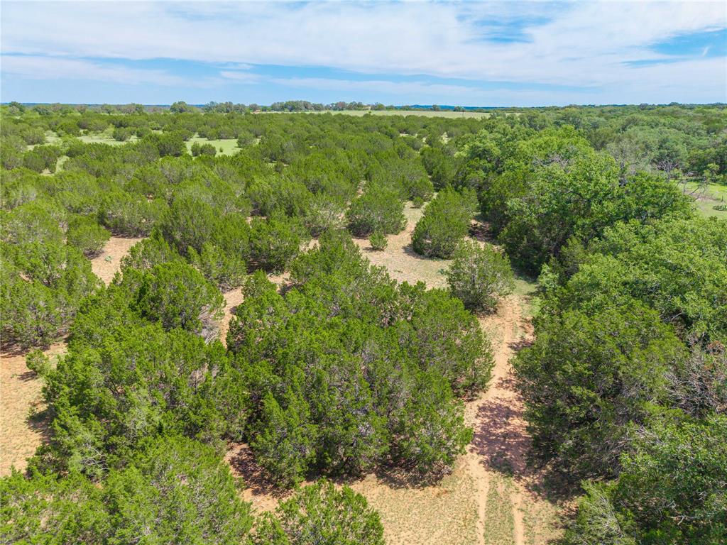 141 County Road 512