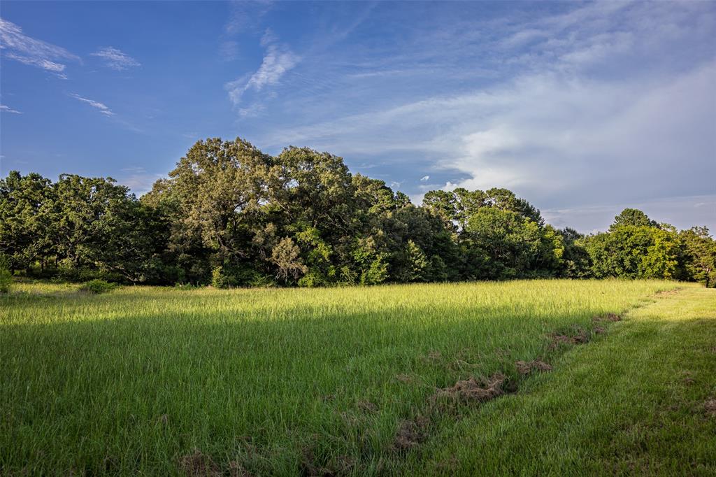 00 County Road 2138