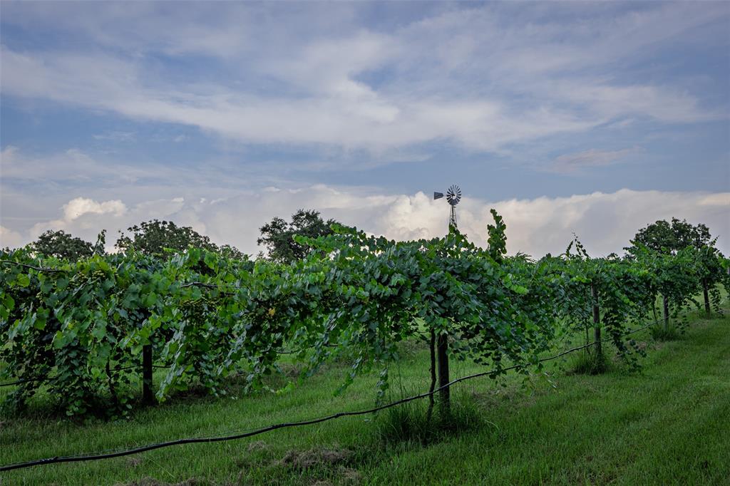 00 County Road 2138