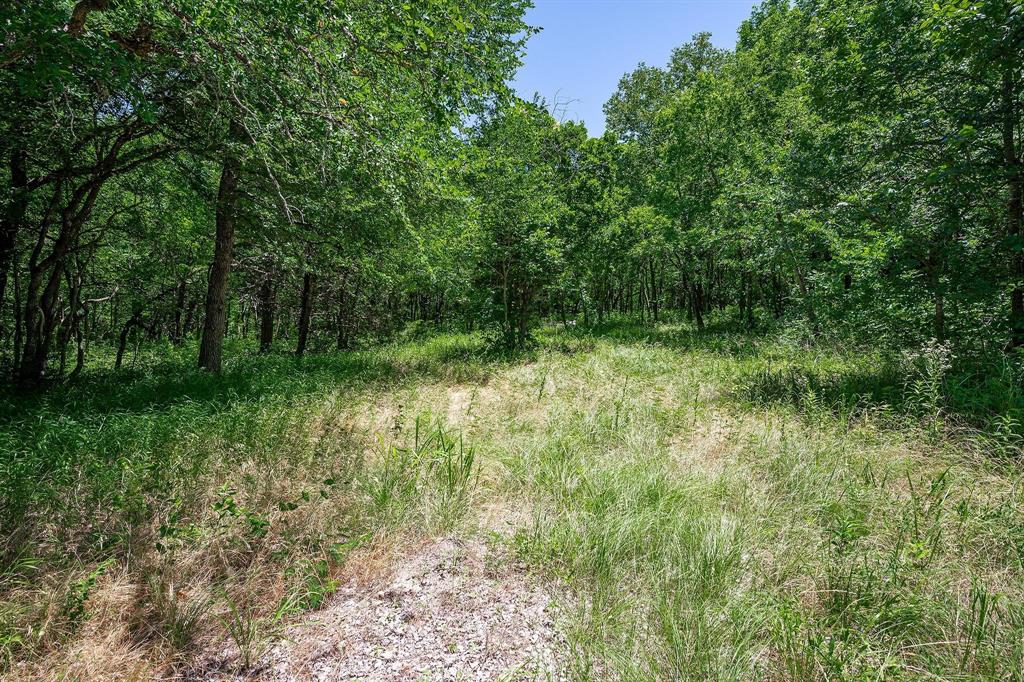 10710 County Road 289
