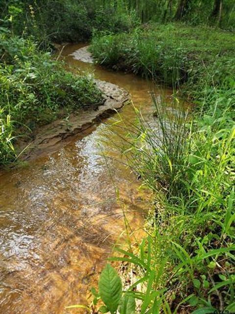 Photo of 20039 County Road 450, Lindale, TX 75771 (MLS # 21196061)