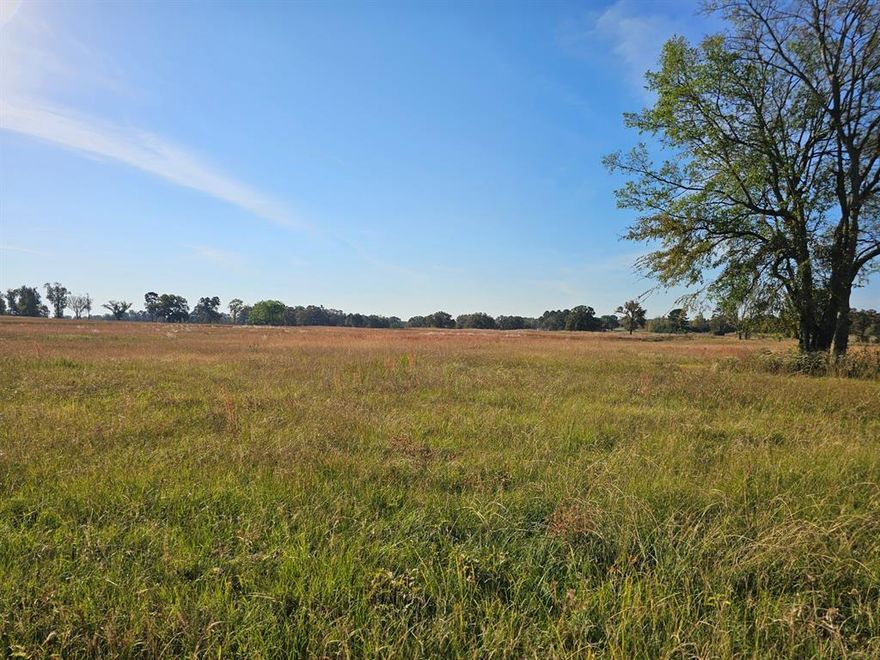 Discover your perfect slice of Northeast Texas with this beautiful unrestricted property in Mount Pleasant. Located in Harts Bluff ISD, this land offers easy access from FM road or the county road. It features a great mix of trees and open pasture and is partially fenced on 2 sides. Recently surveyed, this prime location is perfect for building your dream home, livestock or homesteading. Don't miss this rare opportunity to own a piece of Mount Pleasant's countryside. Seller will owner finance! Contact agent for owner financing price and terms.