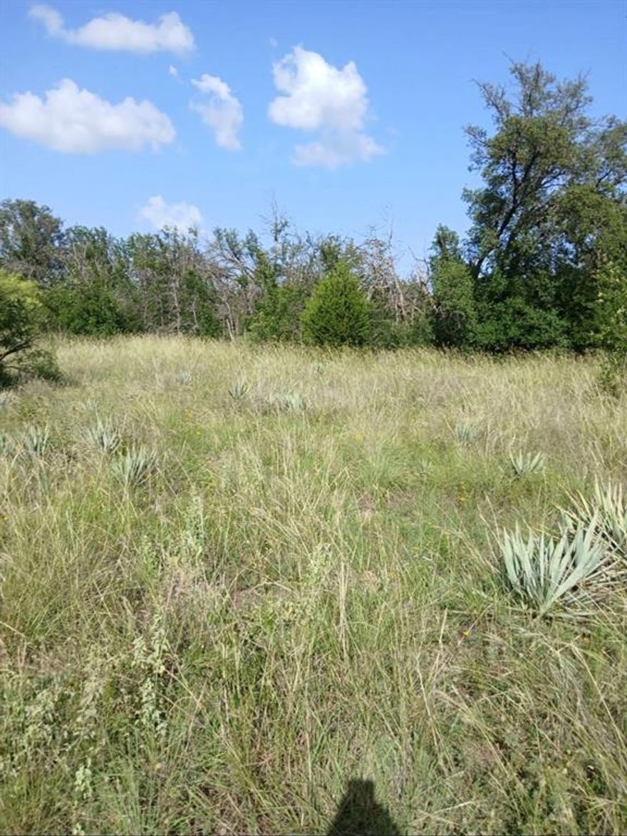 Lot 6 on County Road 601 in the Frog Addition offers an exceptional opportunity to build your dream home on a spacious half-acre lot in a peaceful setting. This homesite combines the beauty of wide-open Texas landscapes.
Conveniently located approximately 12 miles from Brownwood, the property provides the perfect balance between quiet country living and easy access to everyday amenities. Situated along County Road 601, the lot offers a welcoming approach and flexibility in designing a custom residence that fits your lifestyle. Whether you envision a modern farmhouse, a classic ranch-style home, or a more contemporary build, this property provides the space and setting to bring your vision to life.
Outdoor living possibilities abound, with room for covered patios, entertaining spaces, and thoughtfully designed landscaping that takes full advantage of the natural surroundings. 
If you’re seeking a property that offers privacy, structure, and long-term value, Lot 6 is an ideal choice for your next home or investment opportunity.