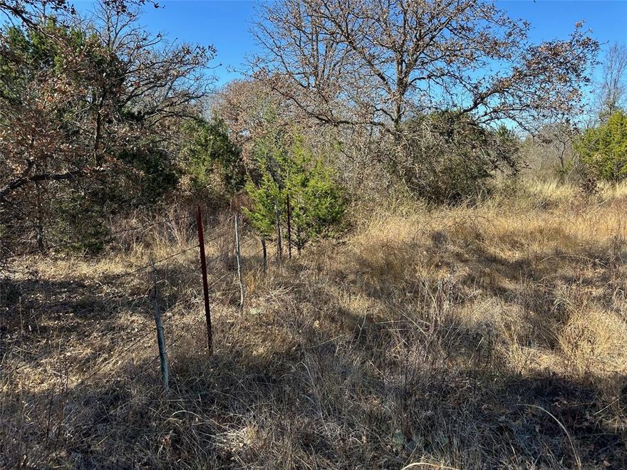 Prime 10.2-Acre Corner Lot near Bangs, TX – Your Perfect Escape!
Discover the charm of this 10.2-acre property located on Sean Lane in rural Bangs, Texas. Nestled in the heart of Brown County, in Central Texas, this property offers endless possibilities for your next adventure or dream home.
Abundant Natural Beauty
This land features excellent tree cover, providing privacy, shade, and a serene atmosphere. The property offers a country setting with many types of wildlife crossing the property.  
Ideal Homesite
Whether you're looking to build your forever home or a weekend getaway, this property provides the ideal blank canvas. The corner lot location adds convenience and accessibility, while the natural surroundings ensure a peaceful retreat.
Recreation & Hunting Haven
Outdoor enthusiasts will appreciate the opportunities for recreation and hunting. The diverse terrain and tree cover make this property a haven for wildlife and a prime spot for those who enjoy the great outdoors.
Prime Location
Located just minutes from Bangs and a short drive to Brownwood, you'll enjoy the perfect balance of seclusion and convenience. Sean Lane offer easy access while maintaining the rural charm you’re seeking.
This versatile property is ready for your vision. Don’t miss out on the opportunity to own a slice of Texas heaven. Contact us today to schedule a showing or learn more!