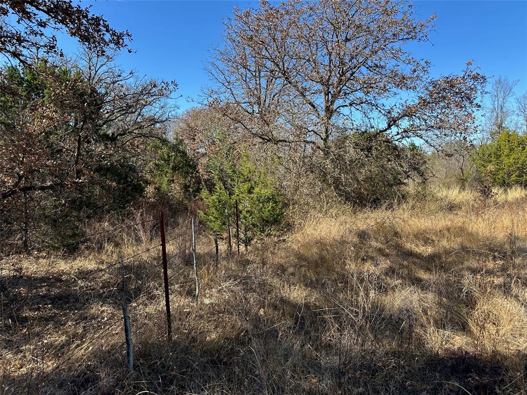 BEATY SEALE & FORWOOD - Land