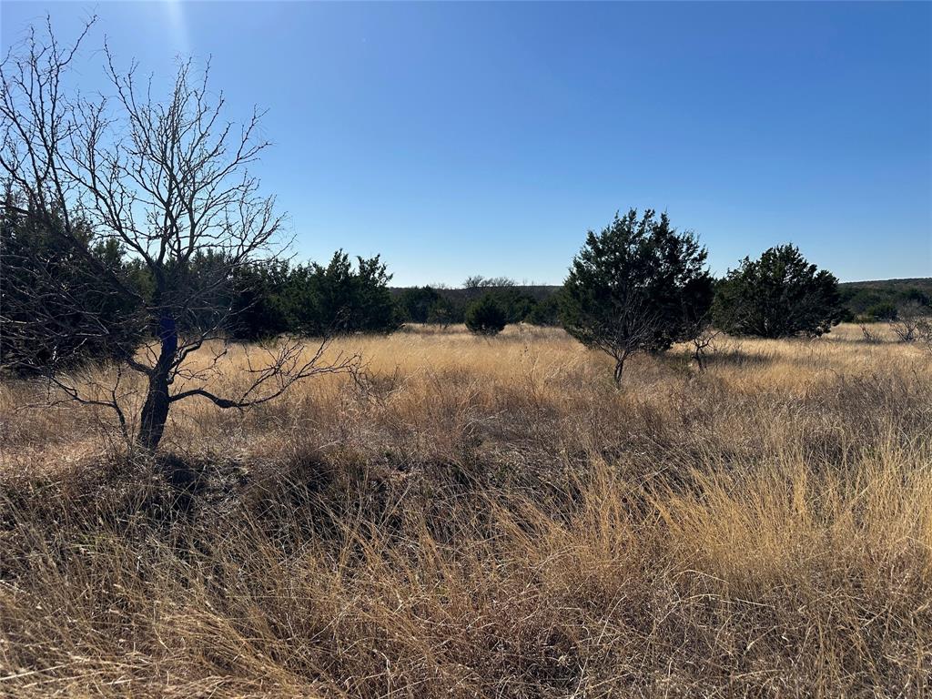 BEATY SEALE & FORWOOD - Land