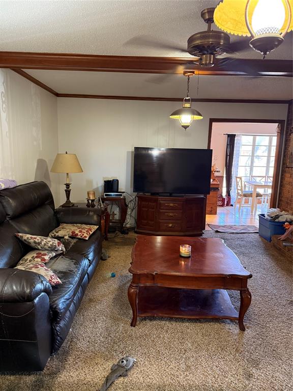 Bruton Terrace 12 - Residential