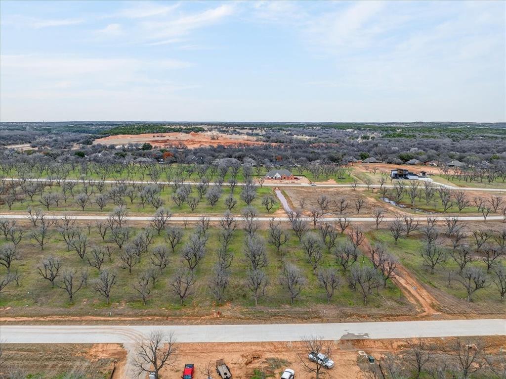 Pecan Plantation - Land