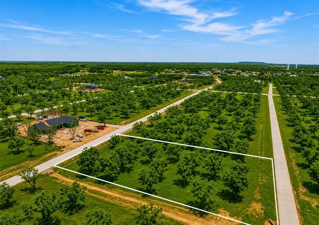 Pecan Plantation - Land