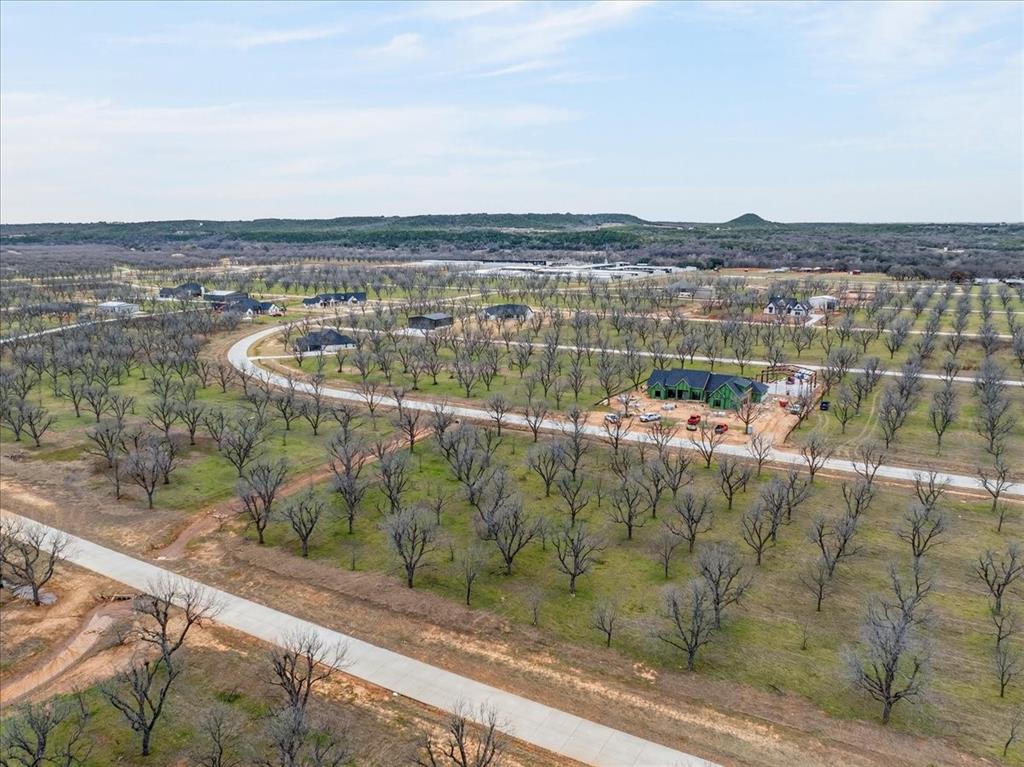 Pecan Plantation - Land