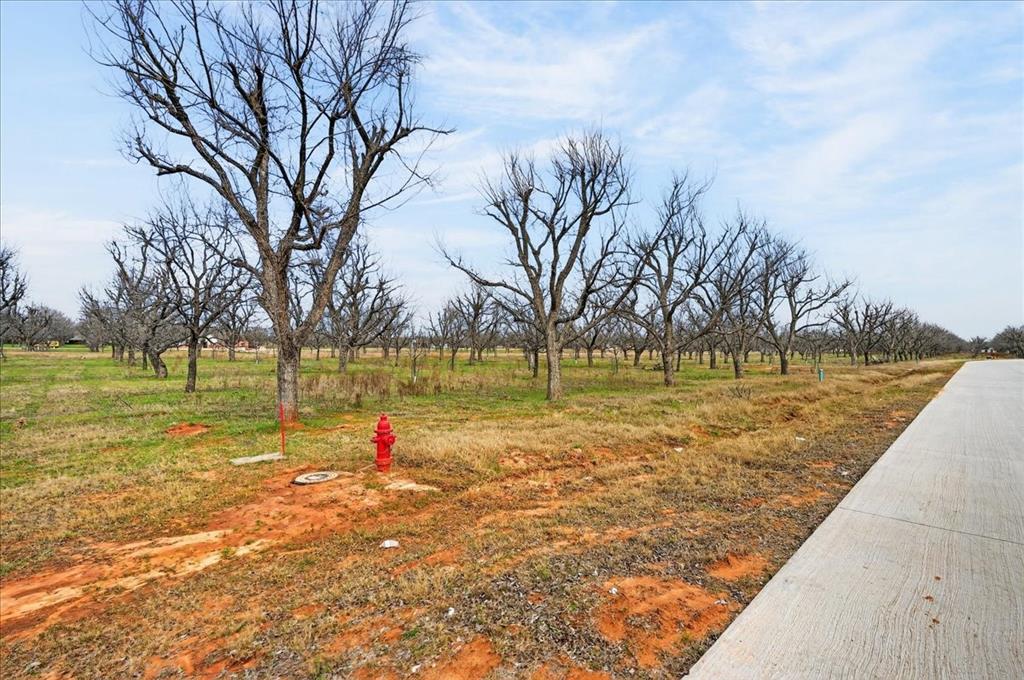 Pecan Plantation - Land