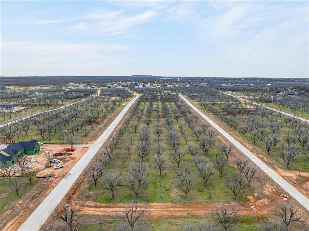 Pecan Plantation - Land
