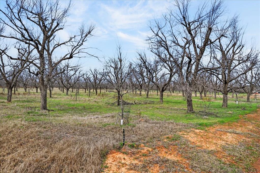 Pecan Plantation - Land