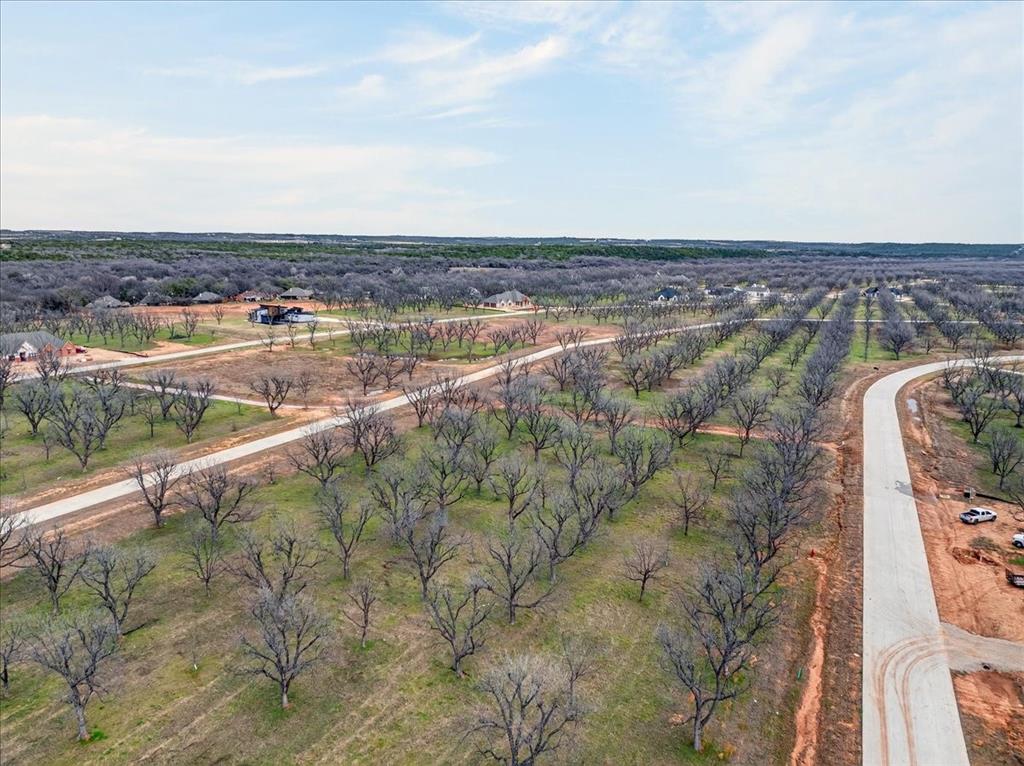 Pecan Plantation - Land