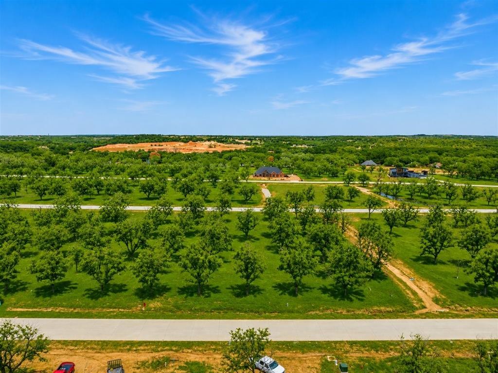 Pecan Plantation - Land