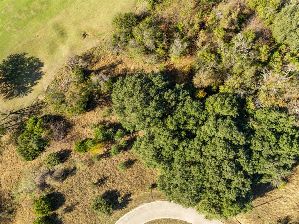 White Bluff #42 - Land