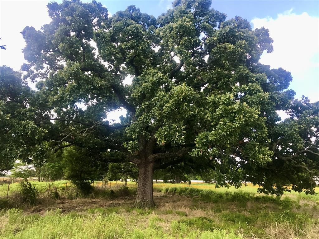 Photo of 0000 TBD I-20 Frontage, Wills Point, TX 75169 (MLS # 21215264)