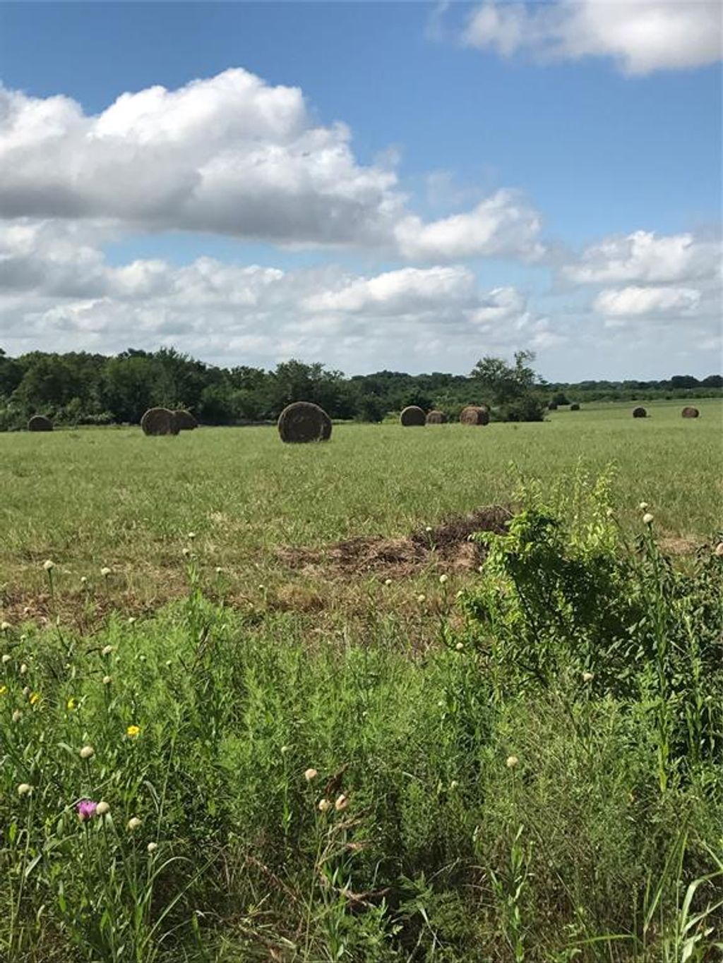 Photo of 0000 TBD I-20 Frontage, Wills Point, TX 75169 (MLS # 21215264)