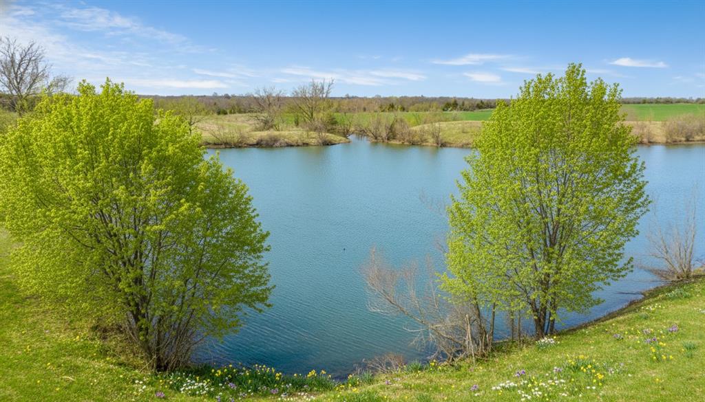 Dentons 3rd Add - Land