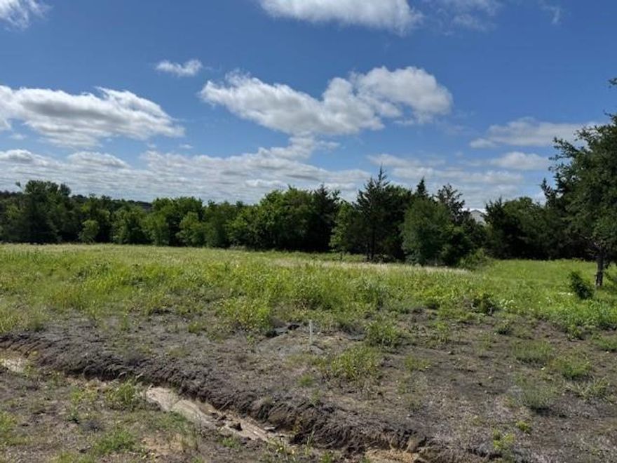 BRING YOUR BUILDER and craft your custom home on this beautiful 1 acre lot located in Hidden Creek Estates!. This wide lot has several native trees and offers plenty of privacy on all sides. There is a heavy tree line along the back of the Lot. And best of all... No HOA! It is conveniently located within a 5 minute drive of US 75, and only 10 minutes to downtown Van Alstyne. You will love this location in the highly sought after VAISD, with 5G Fiber internet as as a bonus. If you are considering moving to Van Alstyne, give us a call and let's make a plan.