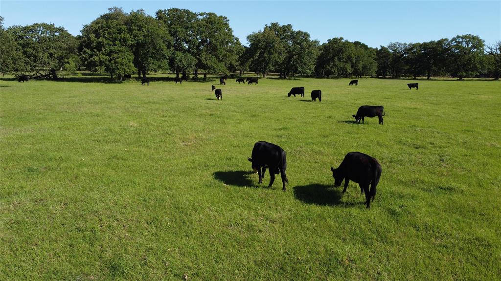 F M Weatherred League & Labor - Land