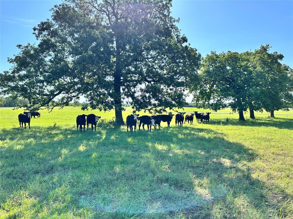 F M Weatherred League & Labor - Land