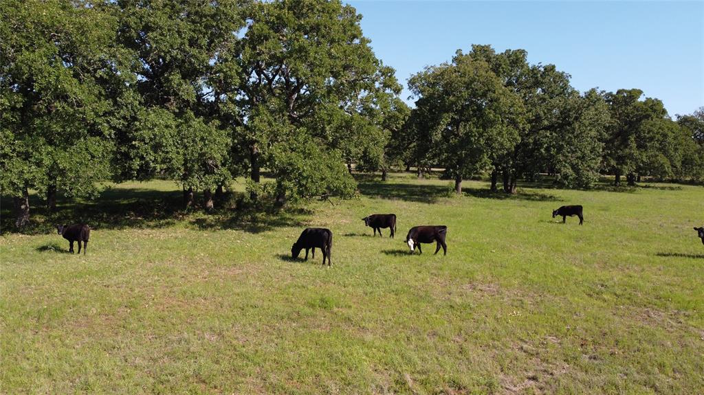 F M Weatherred League & Labor - Land