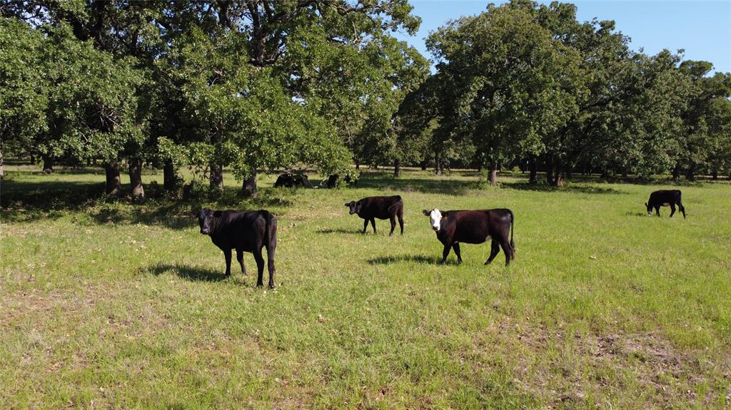 F M Weatherred League & Labor - Land