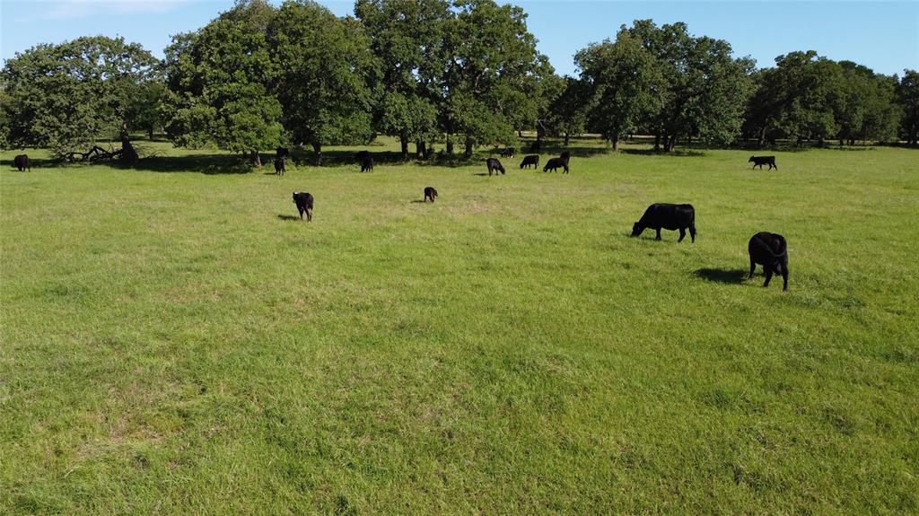 F M Weatherred League & Labor - Land