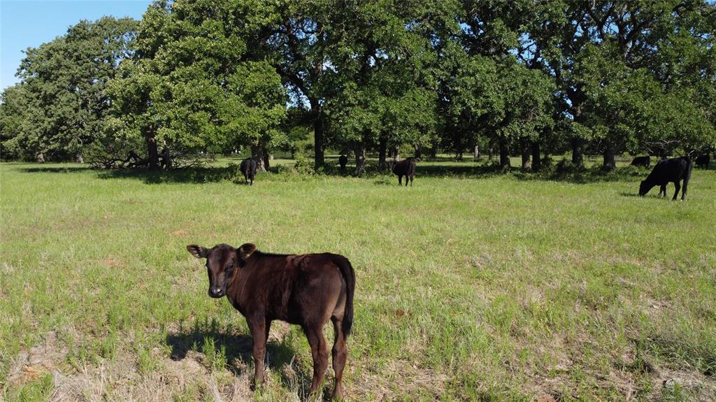 F M Weatherred League & Labor - Land