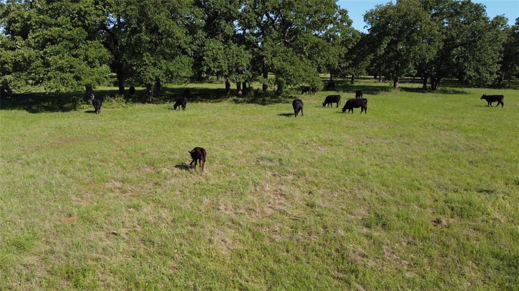 F M Weatherred League & Labor - Land