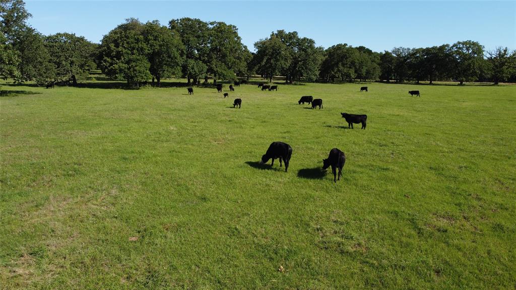 F M Weatherred League & Labor - Land