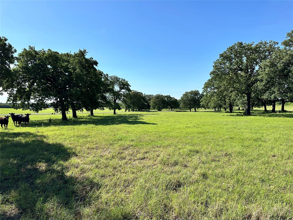 F M Weatherred League & Labor - Land