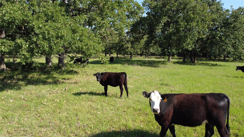 F M Weatherred League & Labor - Land