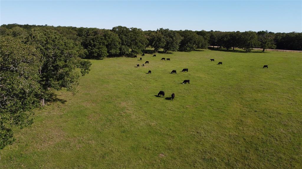 F M Weatherred League & Labor - Land