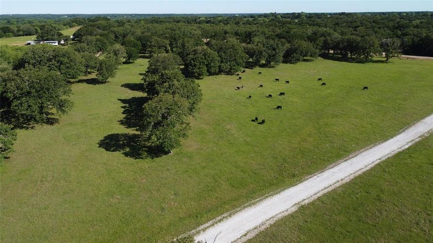 10.22 Acres in Hill County – Scenic Pasture with Dual Road Frontage

This beautiful 10.22-acre property in Hill County offers the ideal blend of open pasture, established hardwoods, and gently rolling terrain — perfect for livestock, hay production, or building your dream home in the country. With 570 feet of paved frontage on FM 309 and 925 feet on County Road 1365, you’ll enjoy excellent access and versatility.
The sandy loam soils support improved coastal Bermuda hay production and make this tract well-suited for grazing livestock. Stately hardwood trees throughout the property offer natural shade and lend a timeless charm to the landscape, offering natural shade and enhancing the property’s charm. With multiple building sites and a rural water line on the property, it’s ready for your vision of country living.

Conveniently located just:

20 minutes to scenic Lake Whitney — known for boating, fishing, and recreational fun
15 minutes to Hillsboro
30 minutes to Cleburne
45 minutes to Waco
1 hour to Fort Worth

This promising raw acreage delivers peaceful and private feel of the country while keeping you connected to nearby amenities. Whether you’re seeking a homestead, hobby farm, or weekend retreat, this is a prime piece of Texas land worth exploring.
See the possibilities first hand, call today to schedule your private showing today.