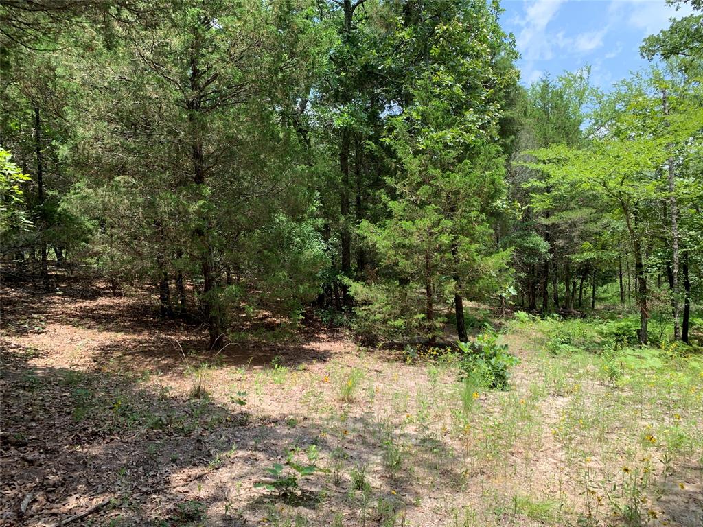 Hills of Athens - Land