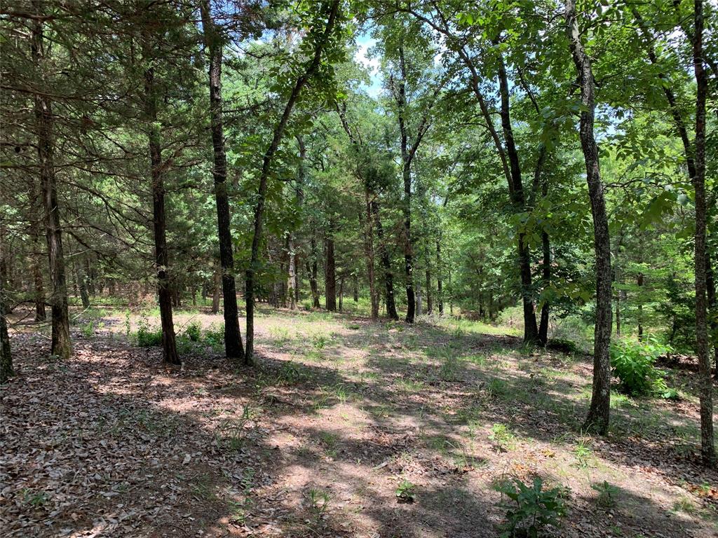 Hills of Athens - Land