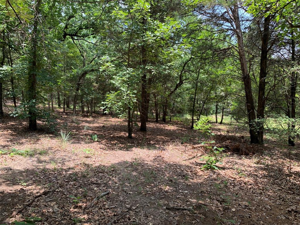 Hills of Athens - Land