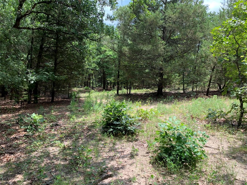 Hills of Athens - Land