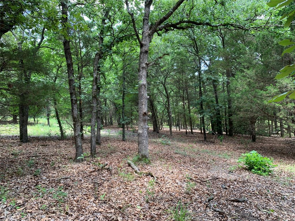 Hills of Athens - Land