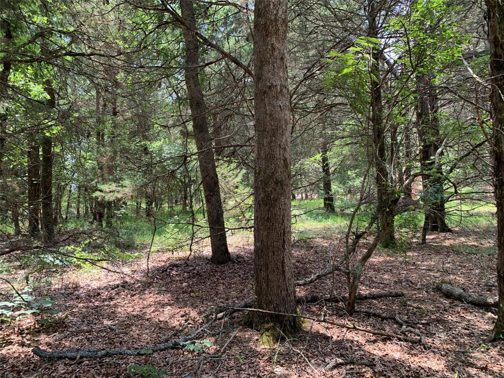 Hills of Athens - Land