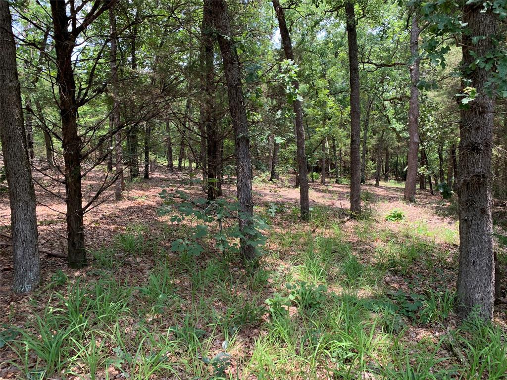 Hills of Athens - Land