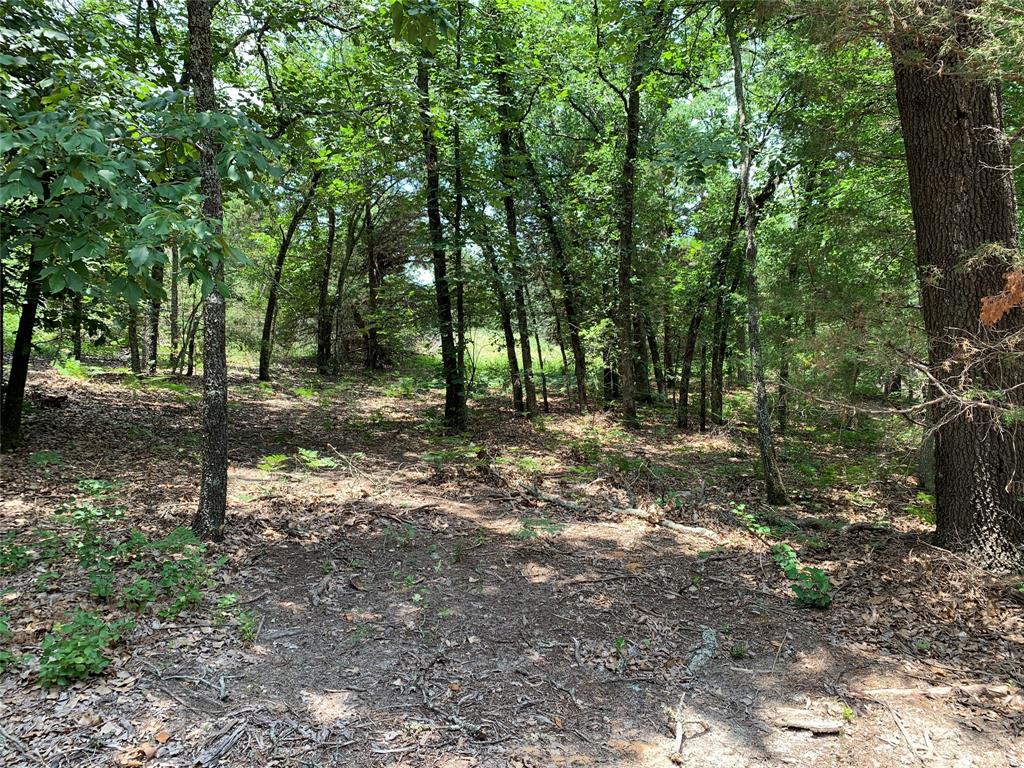 Hills of Athens - Land