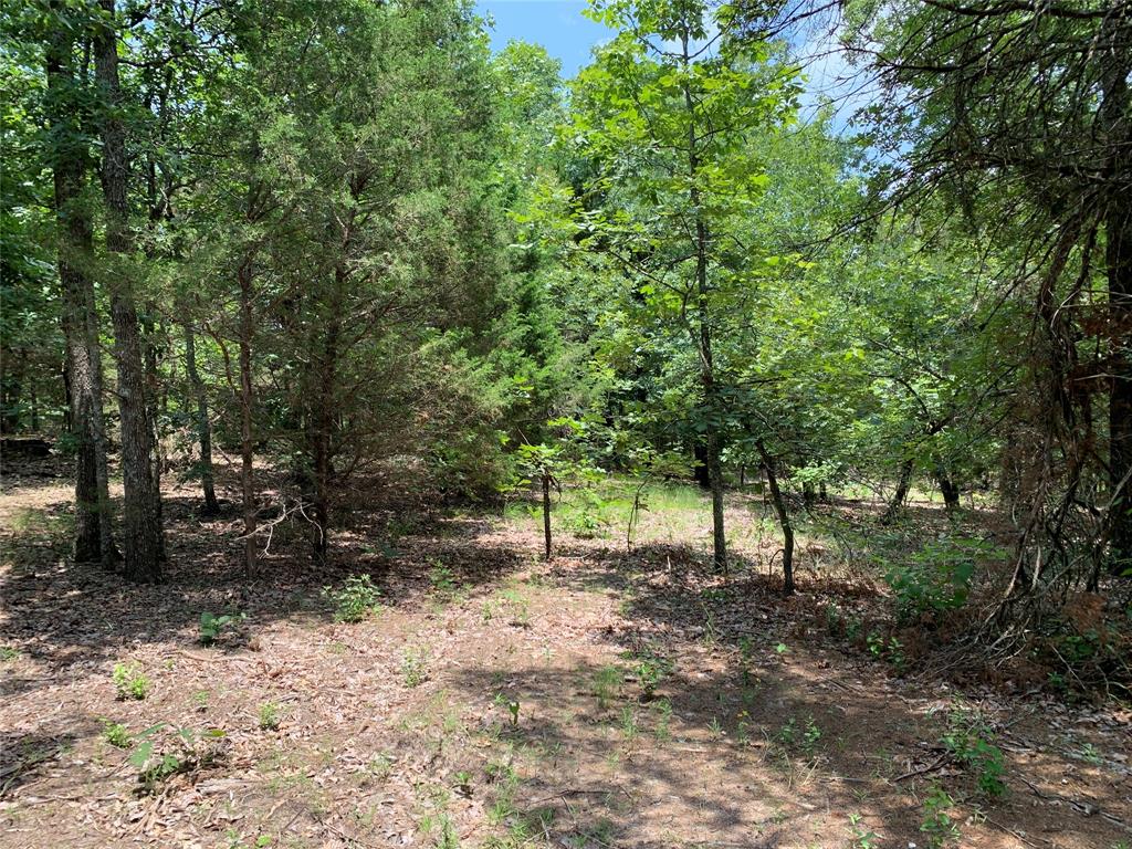 Hills of Athens - Land